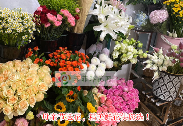 2024赞皇县母亲节送花,赞皇县精美鲜花供您选!