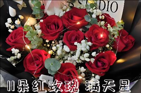 赞皇县哪里有花店